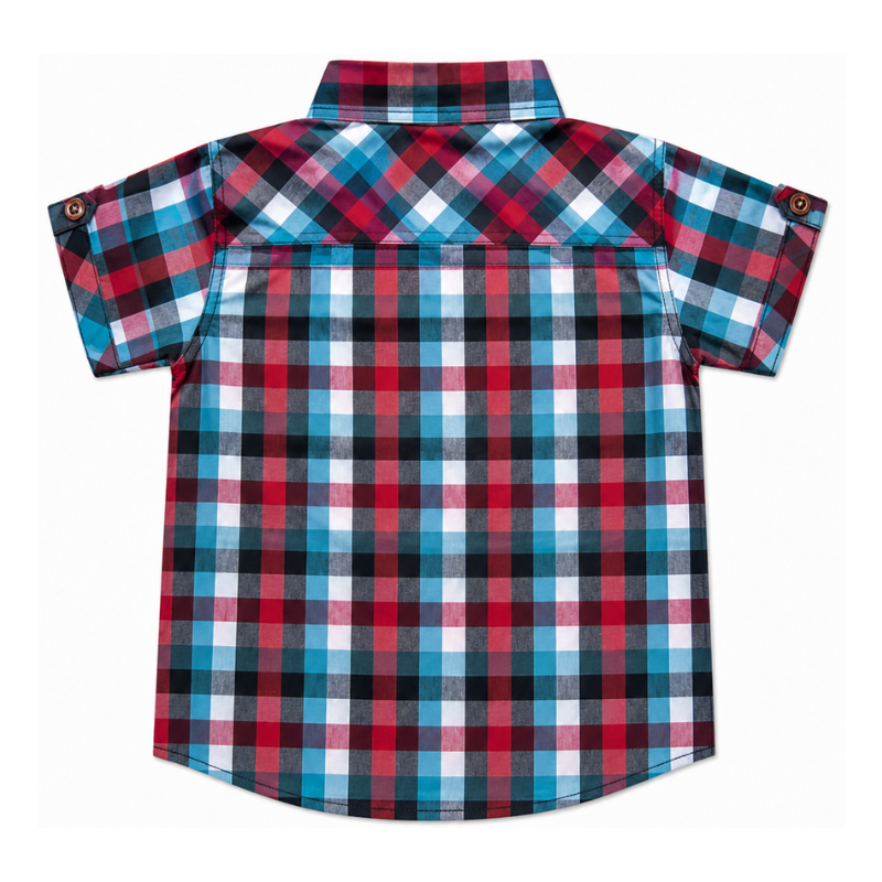 Check Formal Shirt